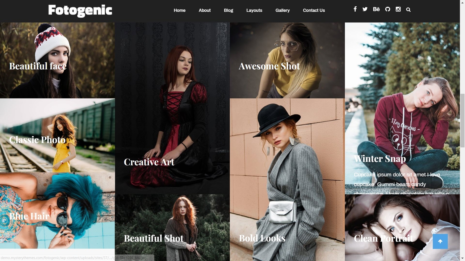 🥇 Established WordPress Premium Photography Website Theme