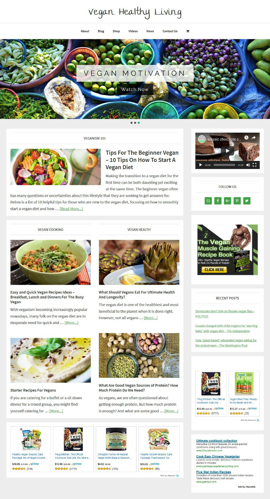 * VEGAN HEALTH * store blog affiliate website business for sale AUTO CONTENT