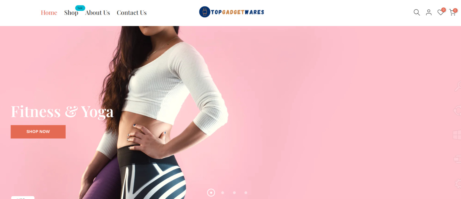 Premium Multiniche Shopify Dropshipping Store for Sale – Domain Included
