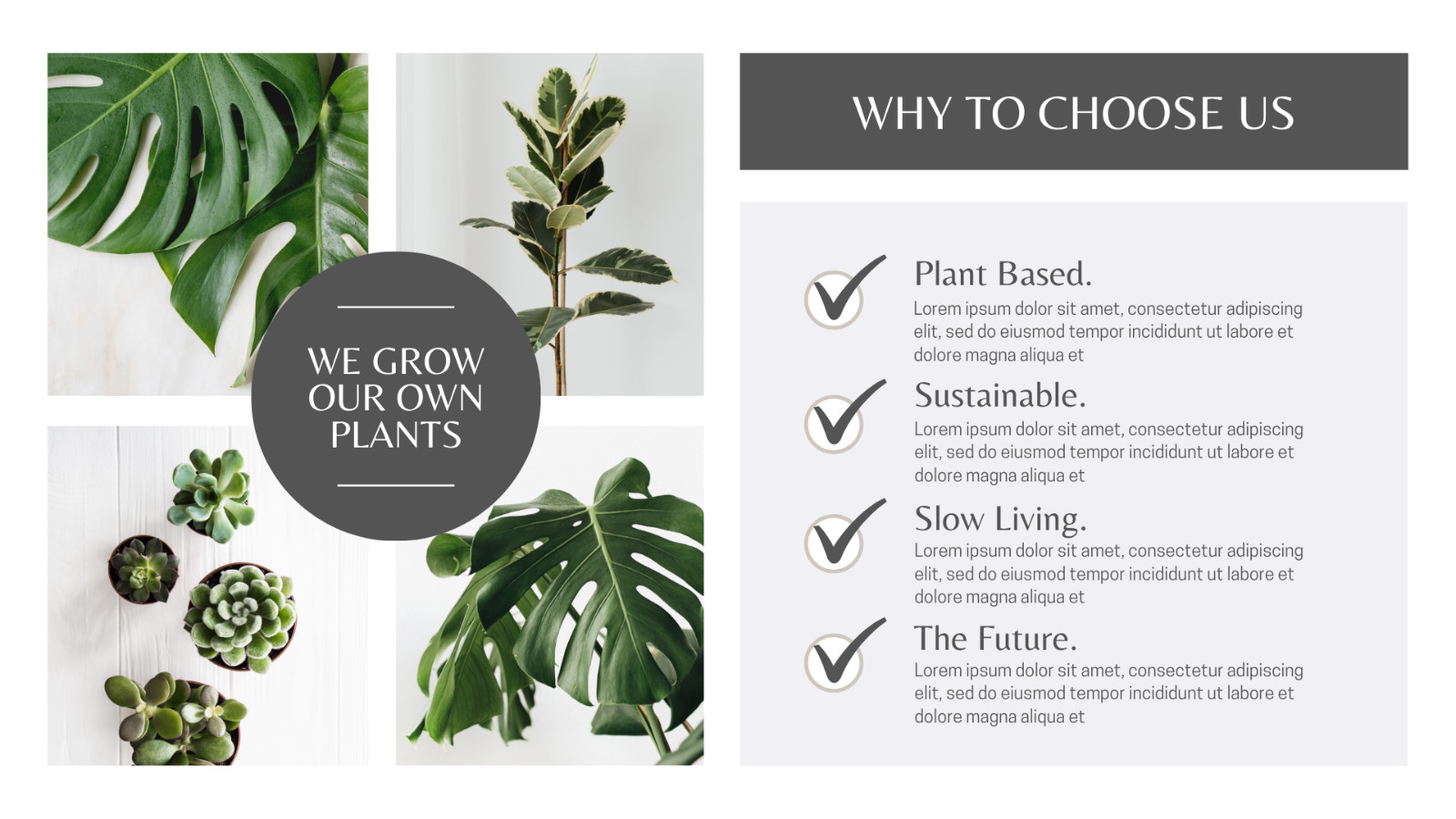 WP Theme-Blog website -Plant-based Products Presentation -Canva Template