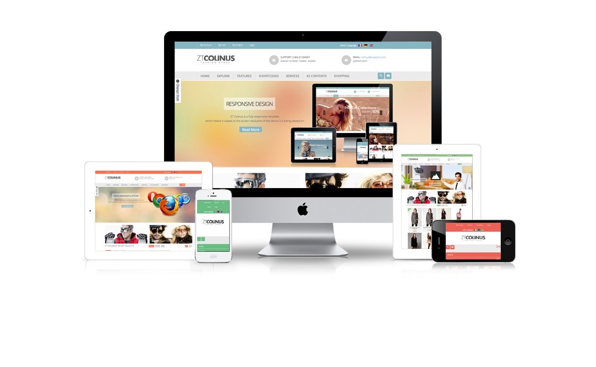 Professional Custom Web site design + Domain + Hosting WordPress Website