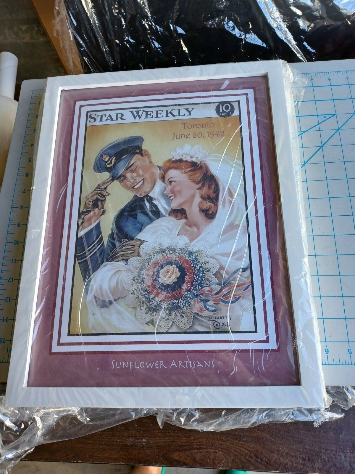 Framed fine art turnkey business
