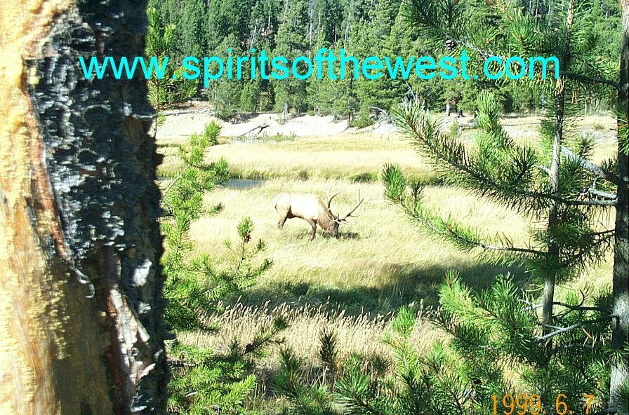 Web Site for sale – www.spiritsofthewest.com