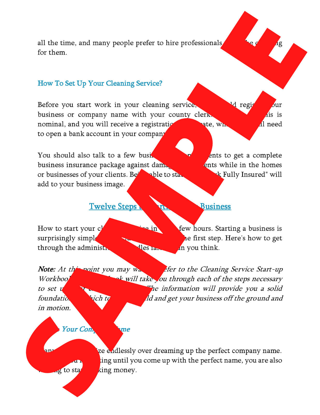 Successful Cleaning Service – Proven Start-Up Guide – Amazing Cash Flow!