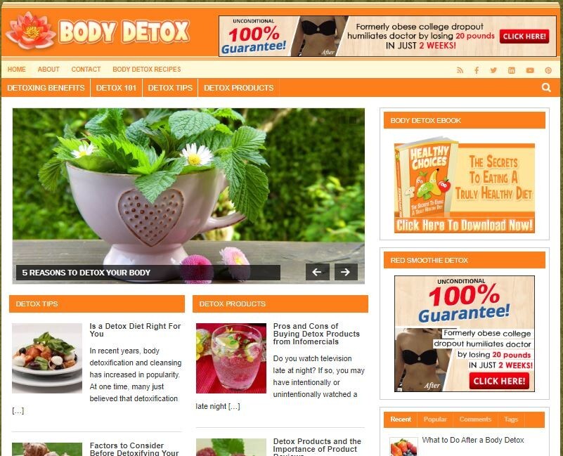 DFY BODY DETOX WORDPRESS THEME +FREE SETUP PRE-DESIGNED BANNERS AND ADS