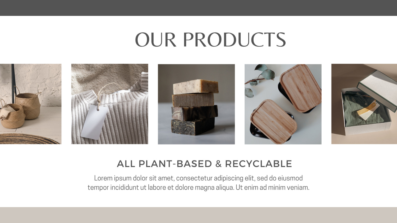 WP Theme-Blog website -Plant-based Products Presentation -Canva Template