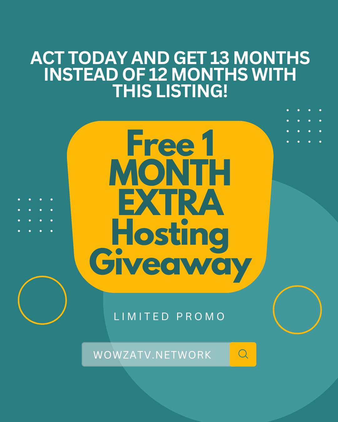 Flash Sale: 13 Months Professional USA Web Hosting-Buy Now before price goes up