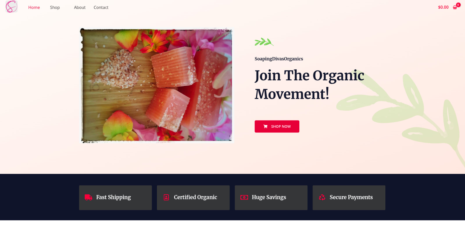 Professional Web Design – Built for Your Success Custom Websites for Businesses