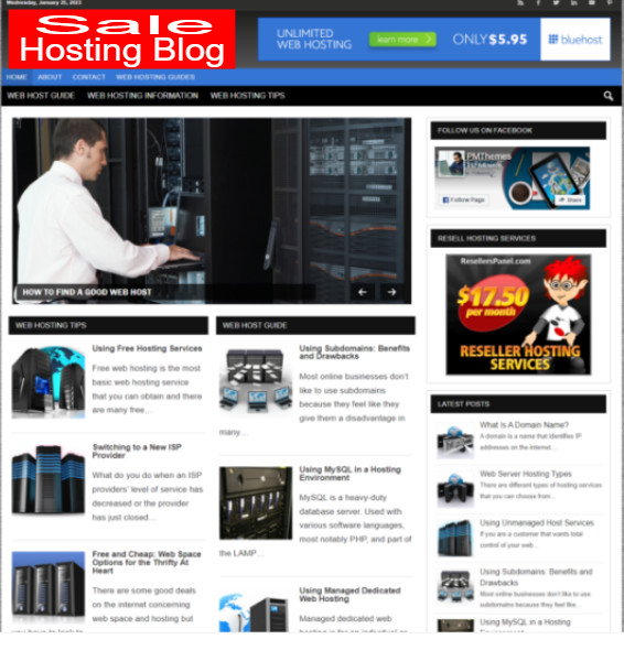 Ready Made Best Web Host Blog Turnkey Niche Website/Blog EZ to Run & Customize