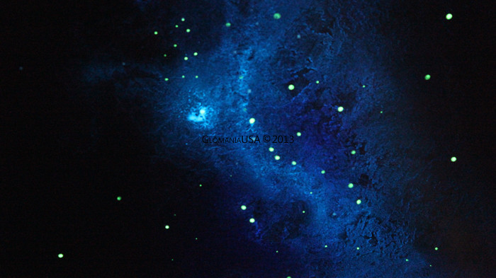 Glow in the Dark Daytime Invisible Star Ceiling Painting Kit Astronomy Murals