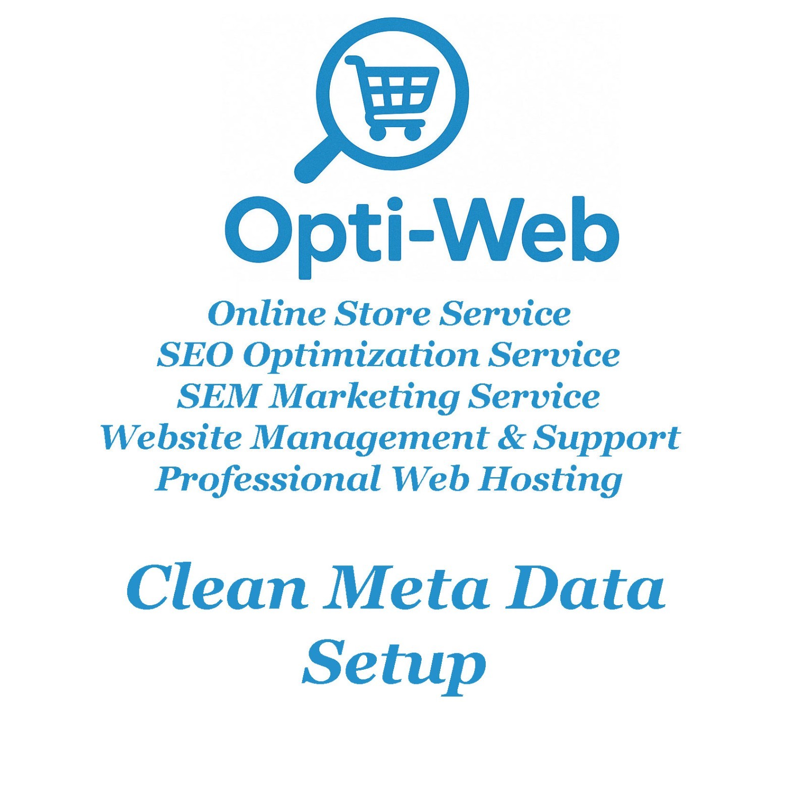 SEO Optimization for 1 Shop Product – Title, Meta, Keywords & URL