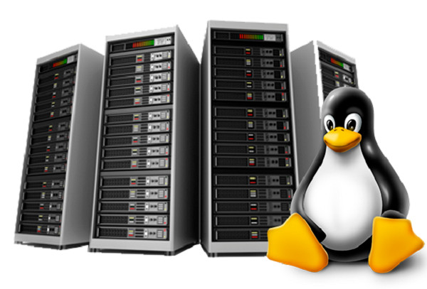 Hosting for Retail Shop – ⚡ Ultra-Fast Unlimited Hosting, 24/7 Support $14.99/Yr