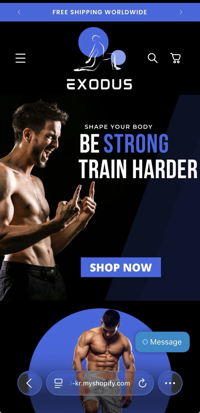 Pre Made, Drop shipping Shopify Store (fitness Theme) (40 Products)