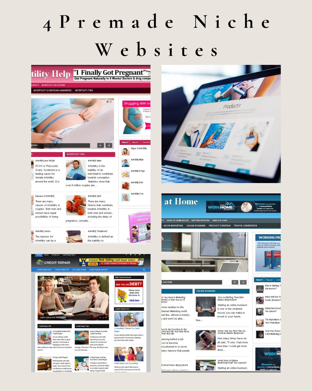 Profitable Website Bundle: Smoothie Diet, Attraction Secrets, Get Your Ex Back