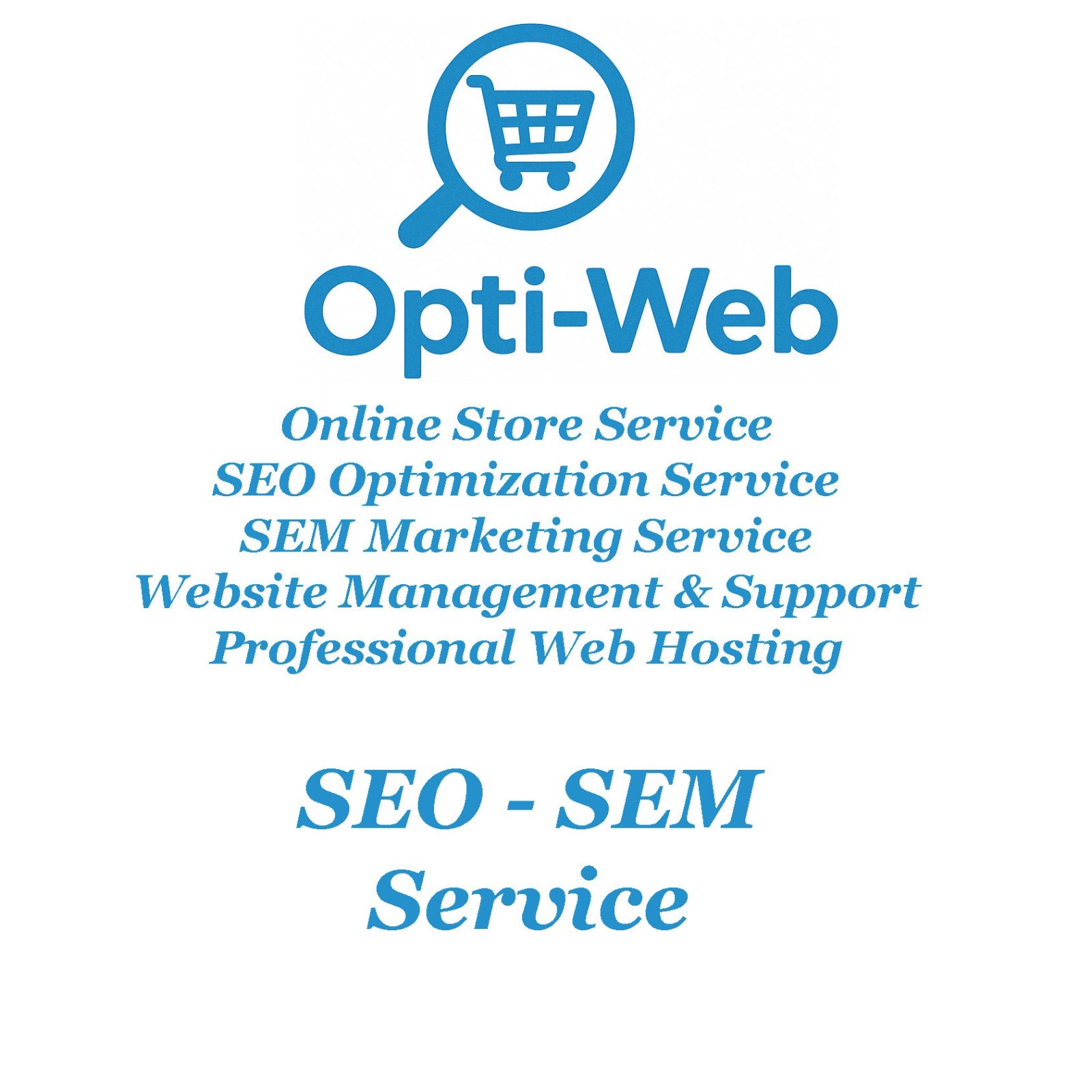 Monthly Premium SEO Service by OPTIWEB – Up to 10 Hours Optimization