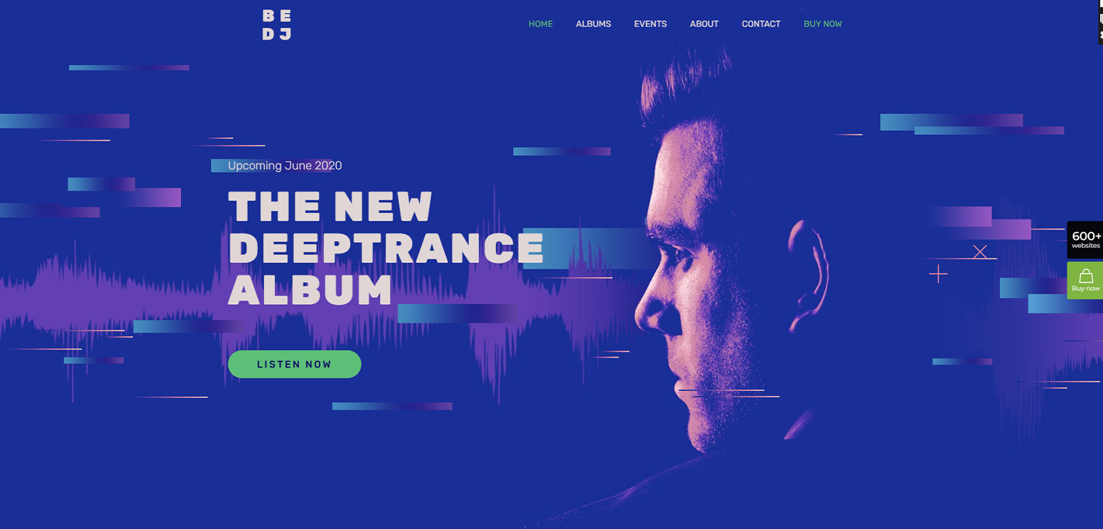 Custom Website Design with Free MOCKUP Web Hosting and Installation