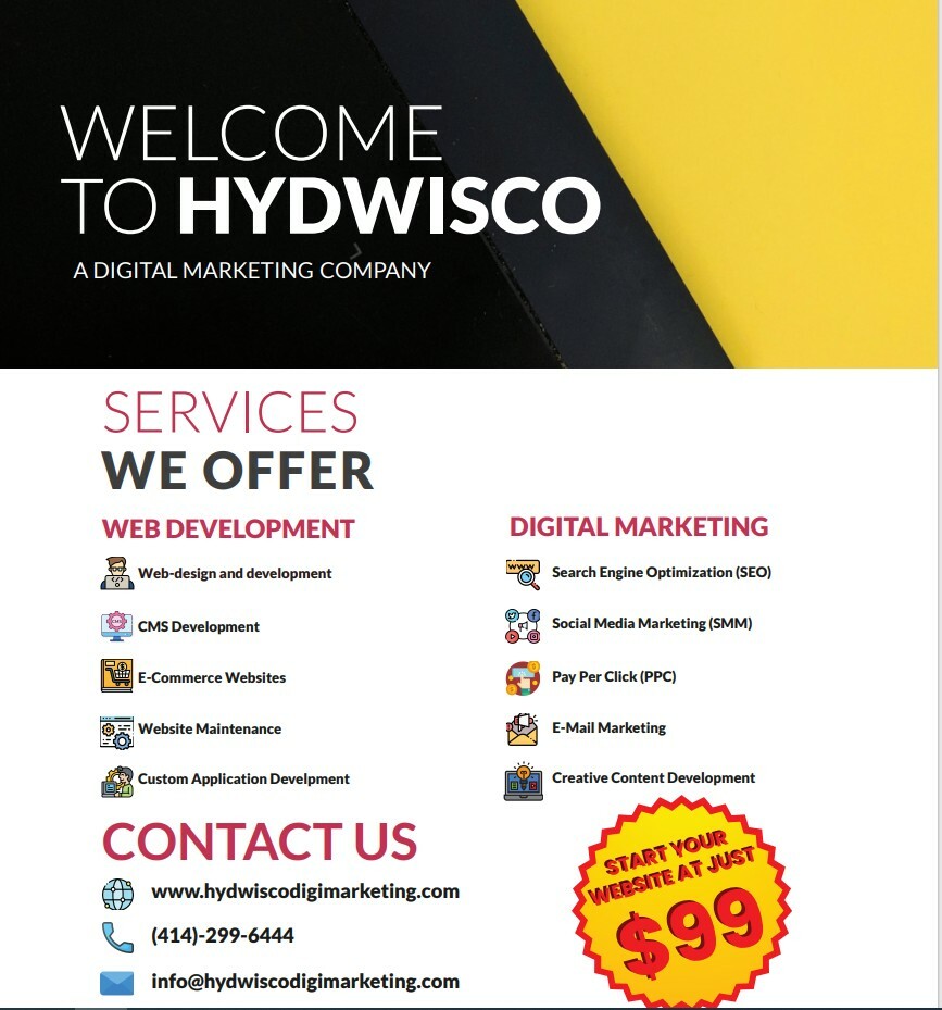 Professional Custom Website from HydWisco Digital!