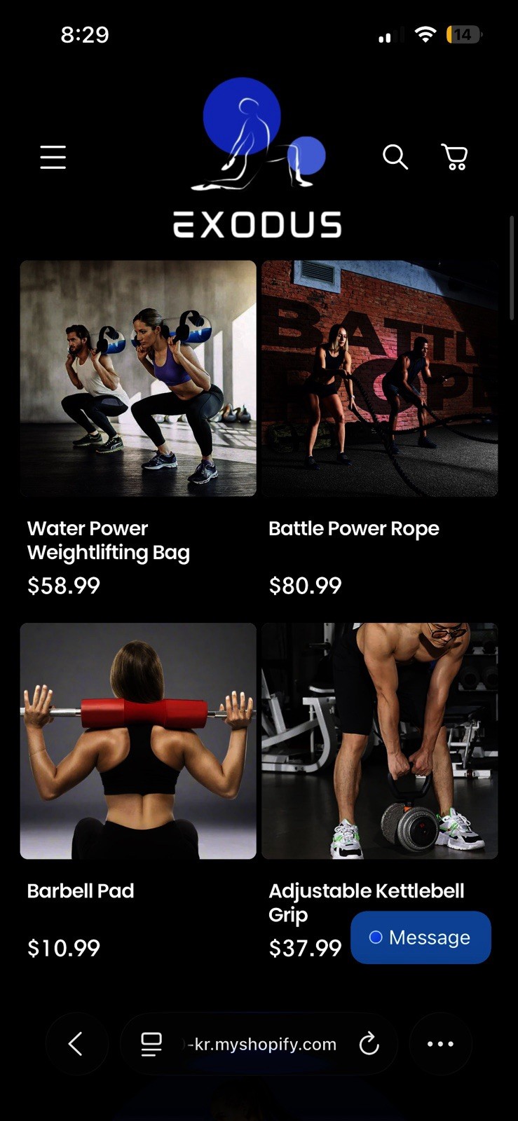 Pre Made, Drop shipping Shopify Store (fitness Theme) (40 Products)