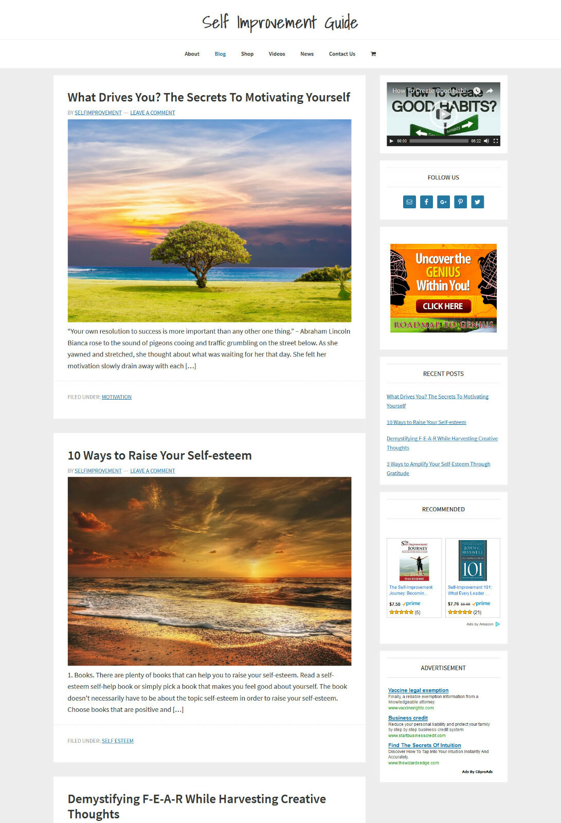 * SELF IMPROVEMENT * blog store premade website business for sale AUTO CONTENT!