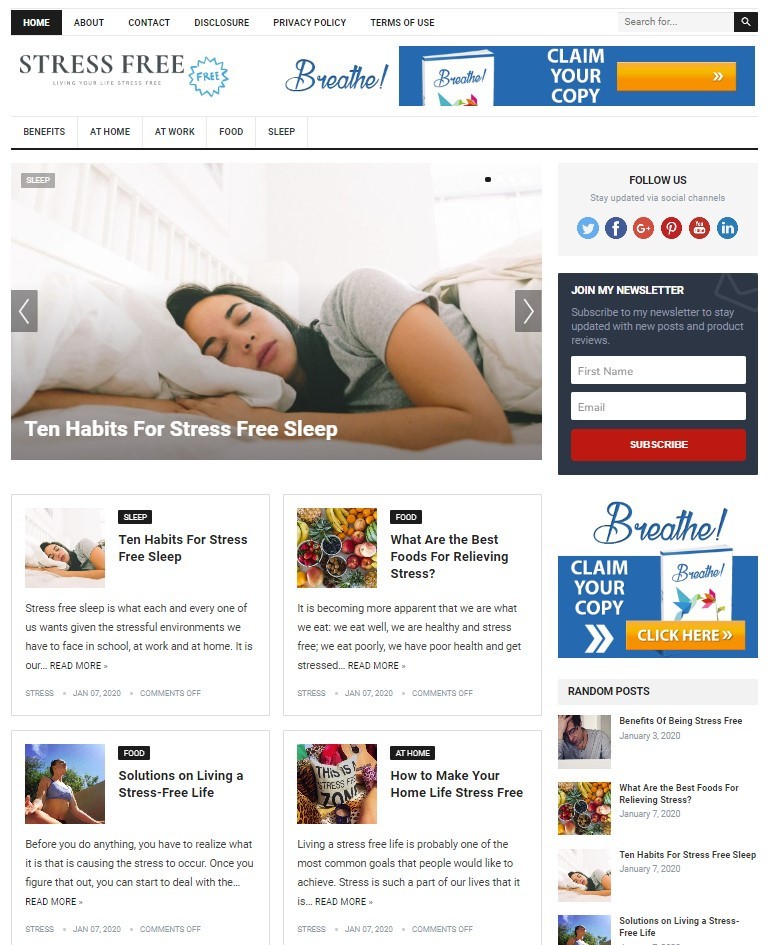 DFY STRESS FREE WORDPRESS THEME+FREE SETUP PRE-DESIGNED BANNERS AND ADS