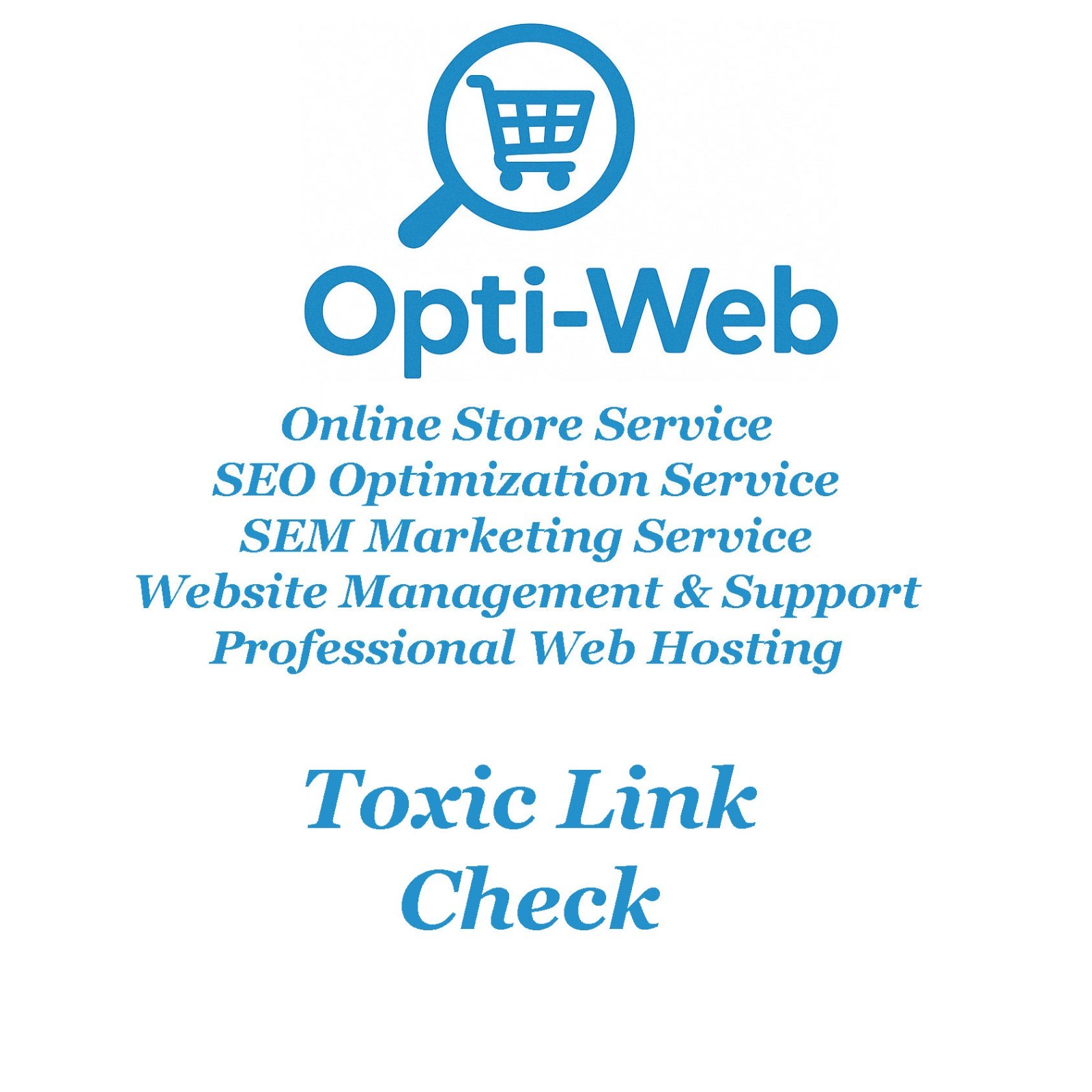 Monthly Premium SEO Service by OPTIWEB – Up to 10 Hours Optimization