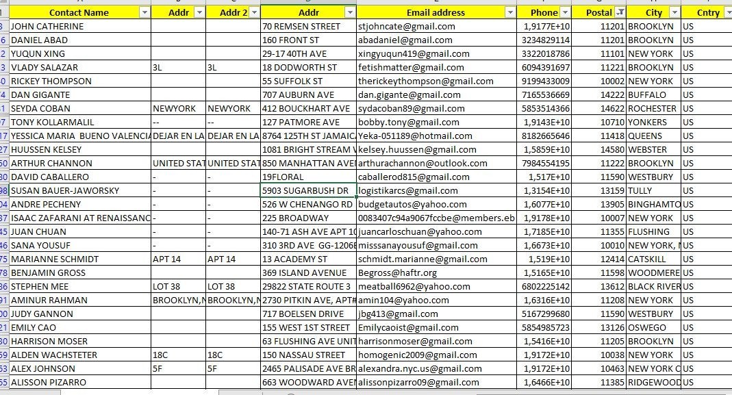 250K NEW YORK USA Customers Email Database B2C Contact Leads 2026 – Excel file