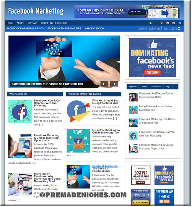 Facebook Marketing Niche Blog Website | Work From Home Business Opportunity