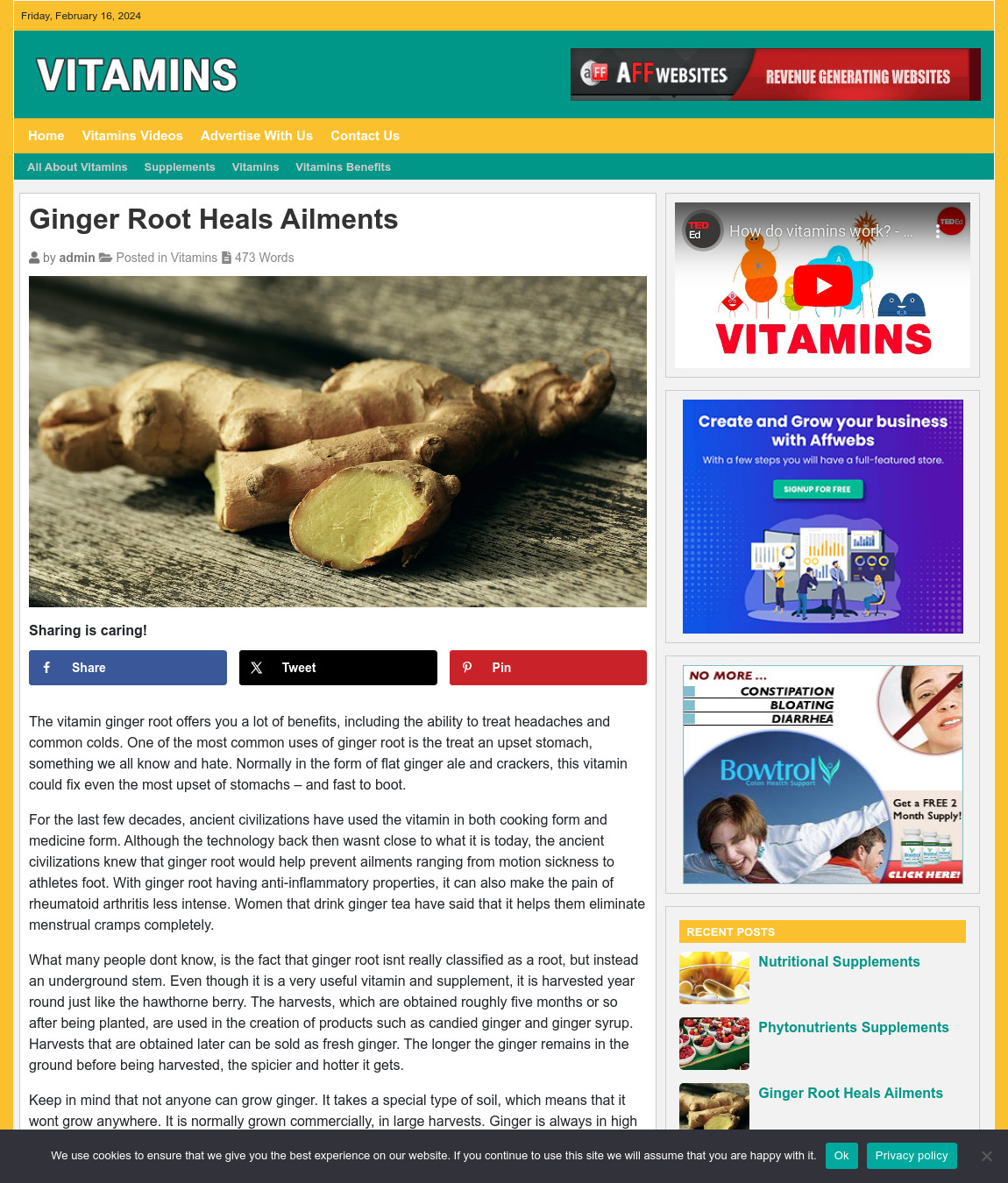 VITAMIN SUPPLEMENTS Website Business For Sale – Work From Home Internet Business