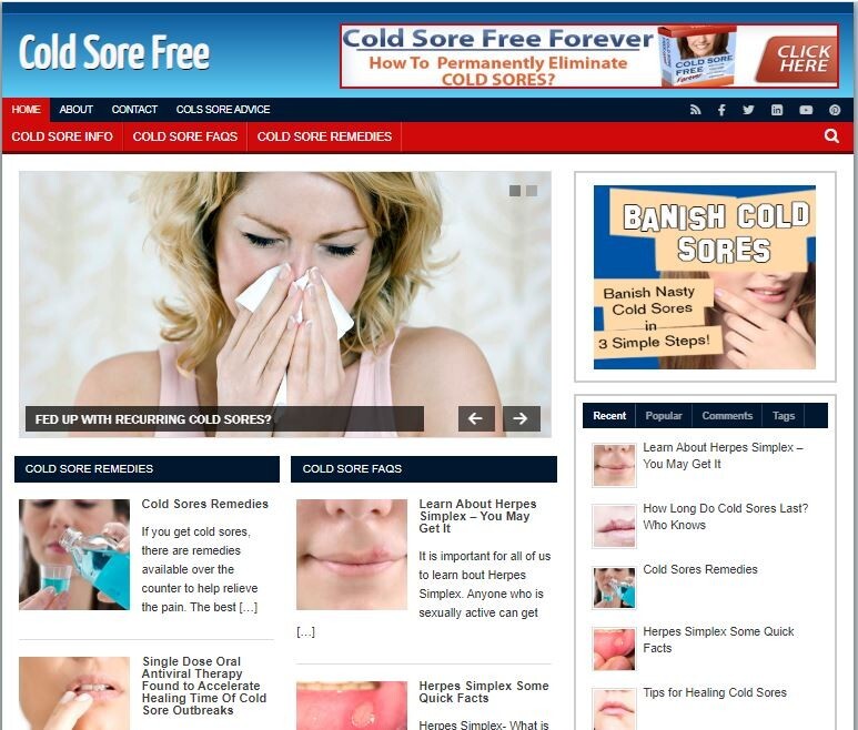 Cold Sore Free Ready Made Blog Turnkey Niche Website Business for Sale
