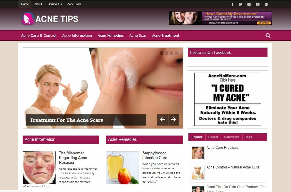 Acne Niche Ready Made Blog – Ready For Money Making Affiliate Website