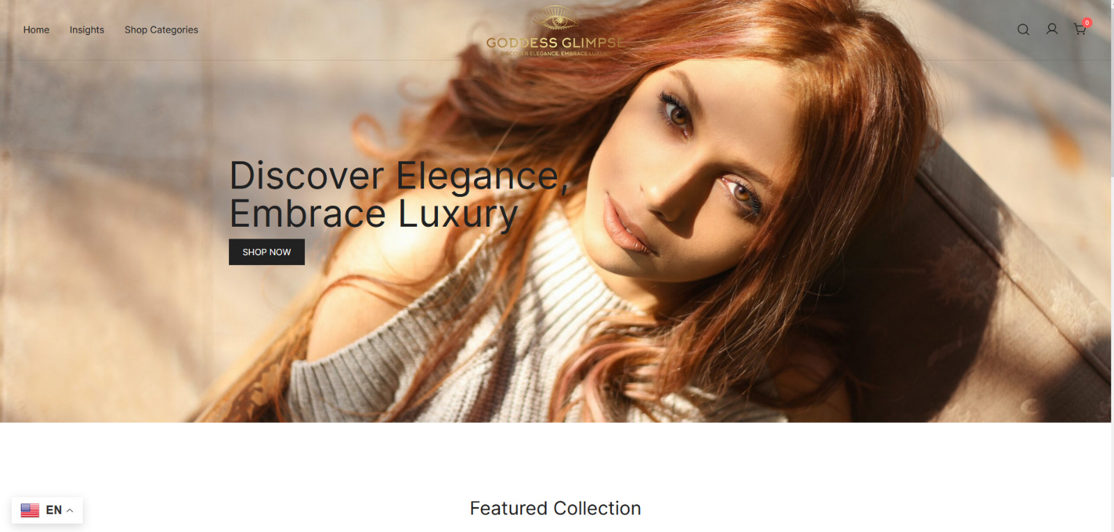 Dropshipping Website Store Business Affiliate Free Hosting + Products | Fashion