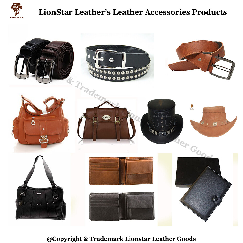 Lionstar Leather Franchise Business Dealership (Golden Chance)