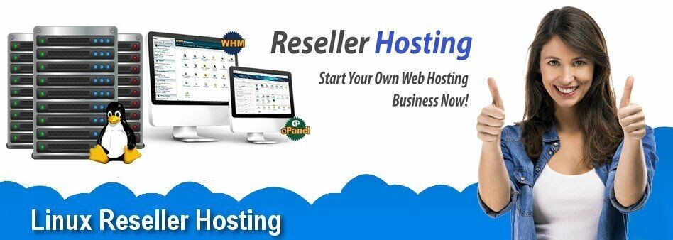 Free Hosting Website Super Alpha Reseller +Free Blog Fast NVMe Servers Free SSL