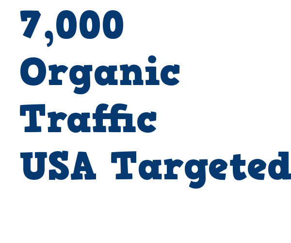 7,000 Real USA Organic TRAFFIC from Search Engine Referrals & 3 Keywords
