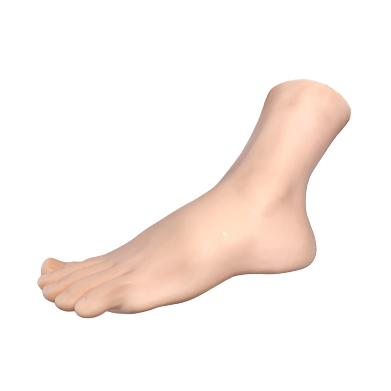 Female Foot Model Fake Foot Mannequin Left Versatile Sock Sandal Display Model