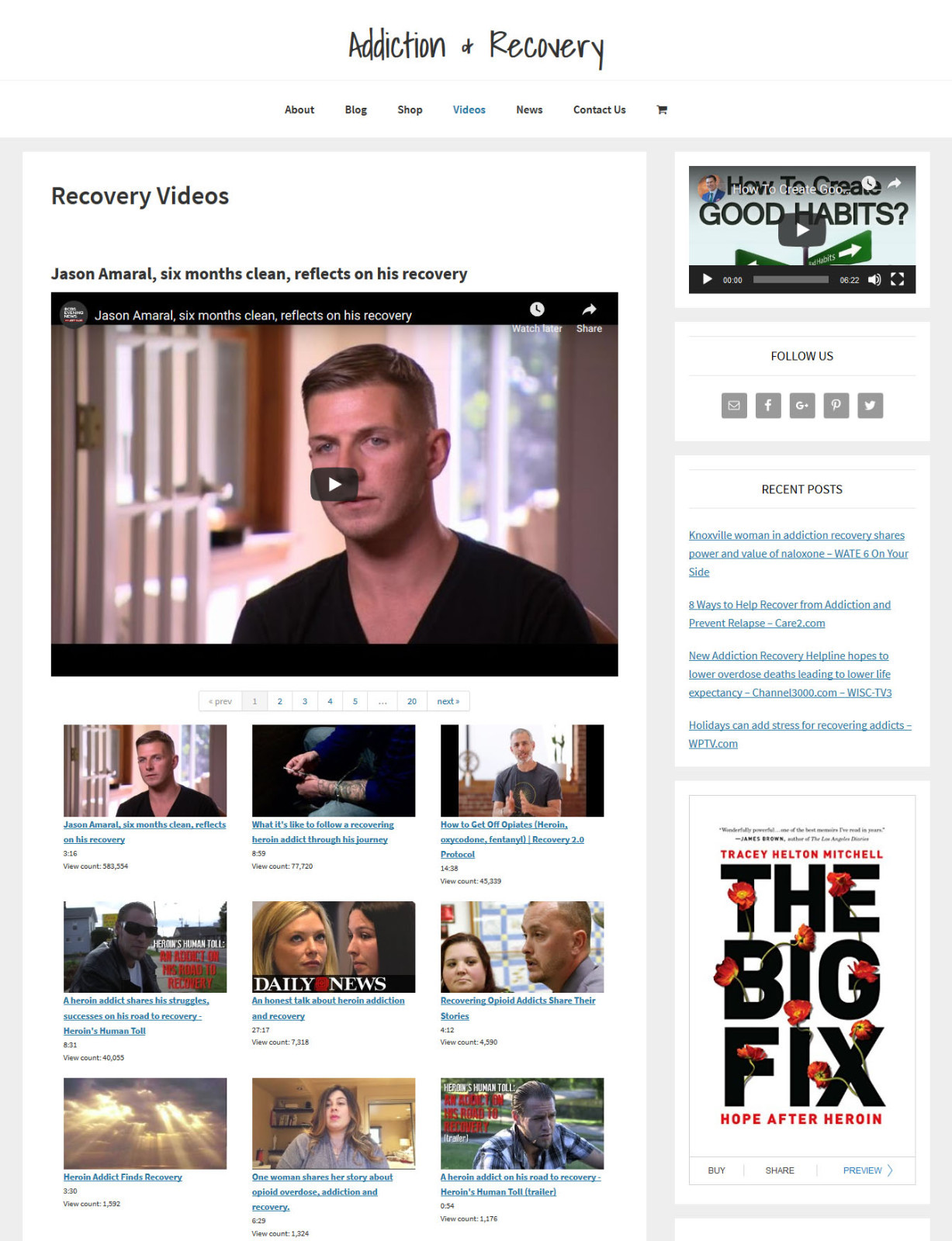 * RECOVERY & ADDICTION * store blog website business for sale with AUTO CONTENT