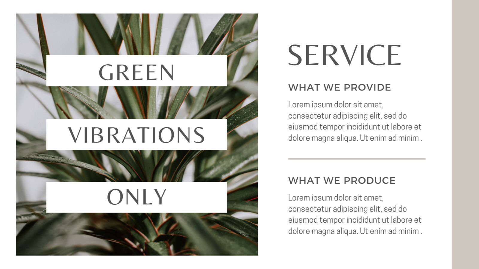 WP Theme-Blog website -Plant-based Products Presentation -Canva Template