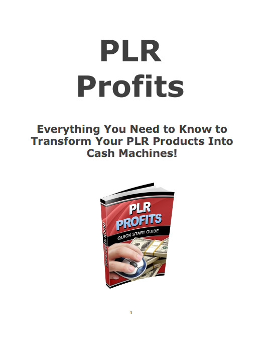 500 Digital Product Ideas MRR/PLR Rights –Creativity Unleased! Mega Bundle Bonus