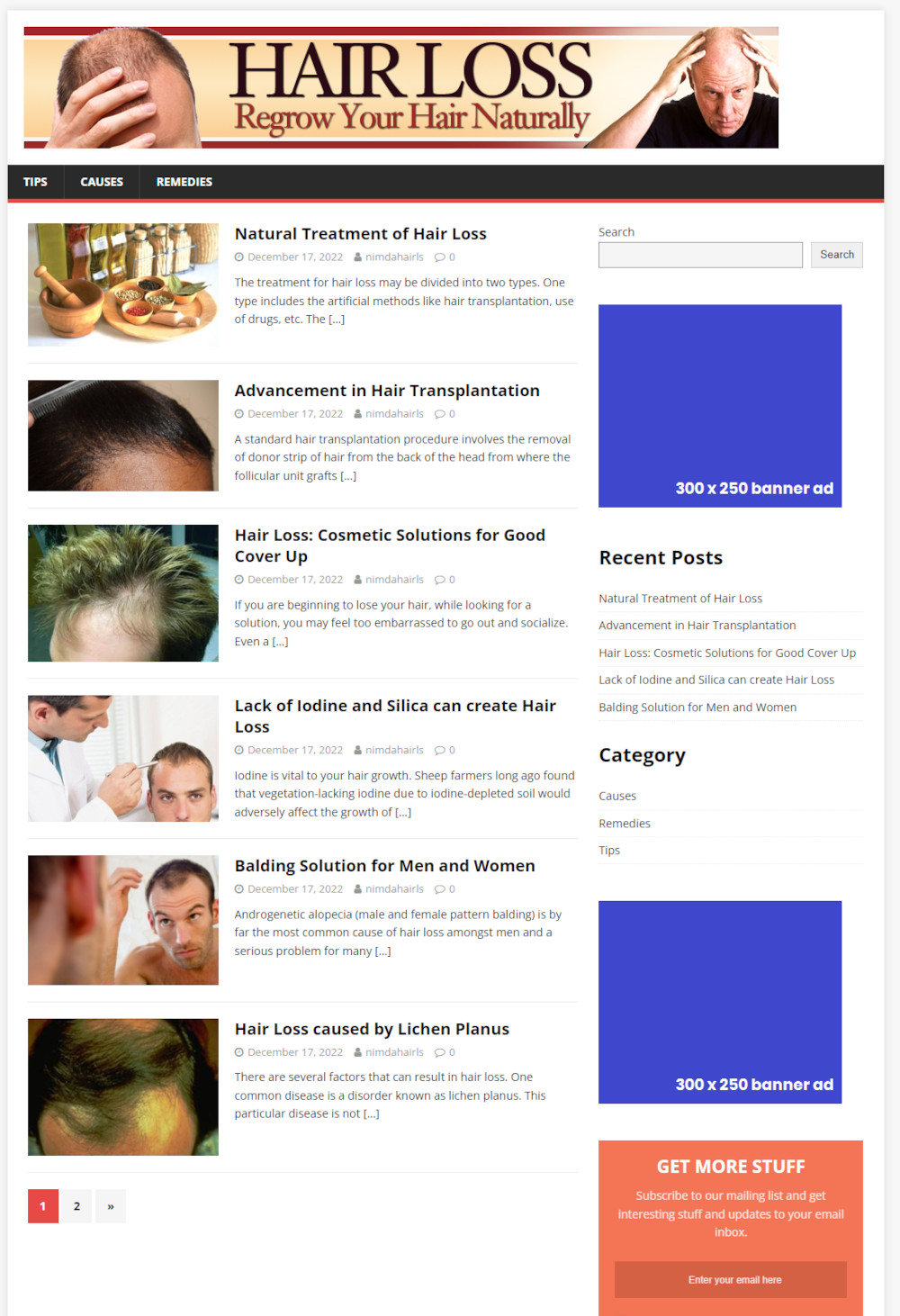 Hosting and Support For Our Niche Affiliate Websites