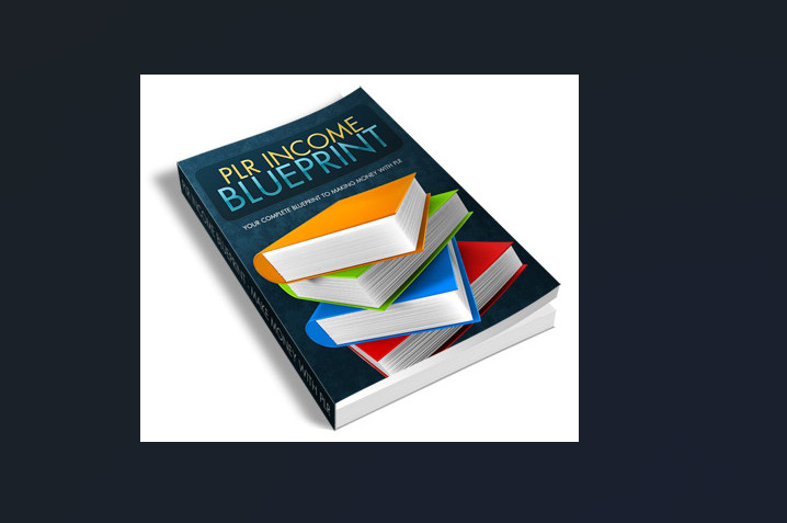 Selling PLR E books, Guides & Courses Plus Splash Pages Make Cash Online Bundle