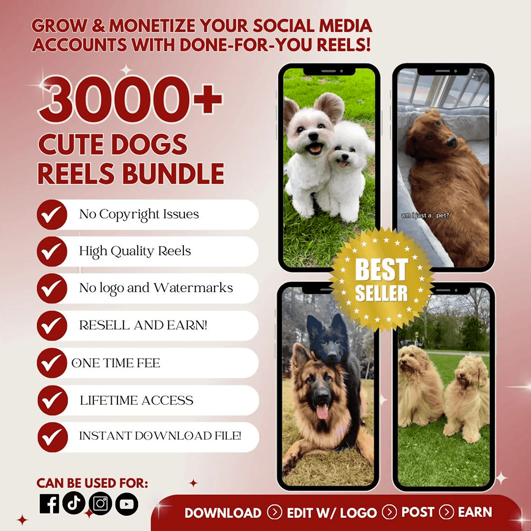 10000+ Ready Viral Videos (TikTok, AI, Travels, Motivation) – DOWNLOAD