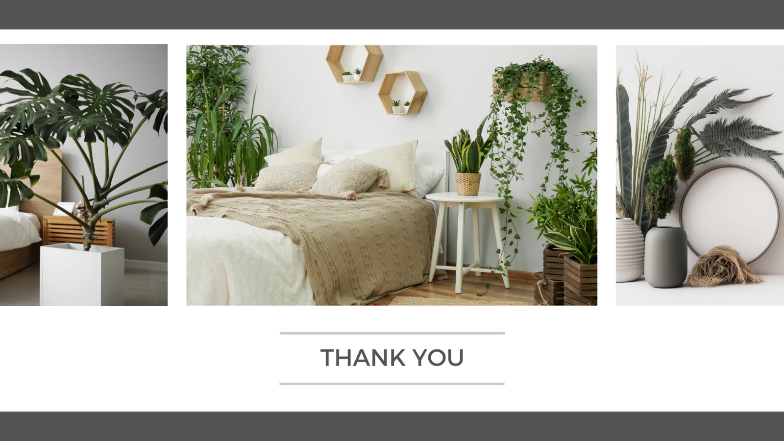 WP Theme-Blog website -Plant-based Products Presentation -Canva Template