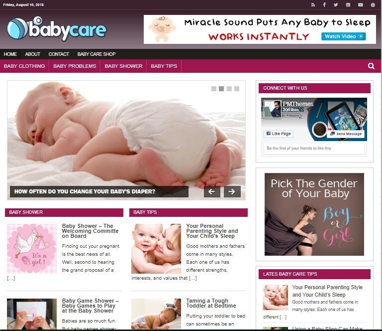 Baby Care Niche Ready Made Blog Turnkey Niche Website Business for Sale