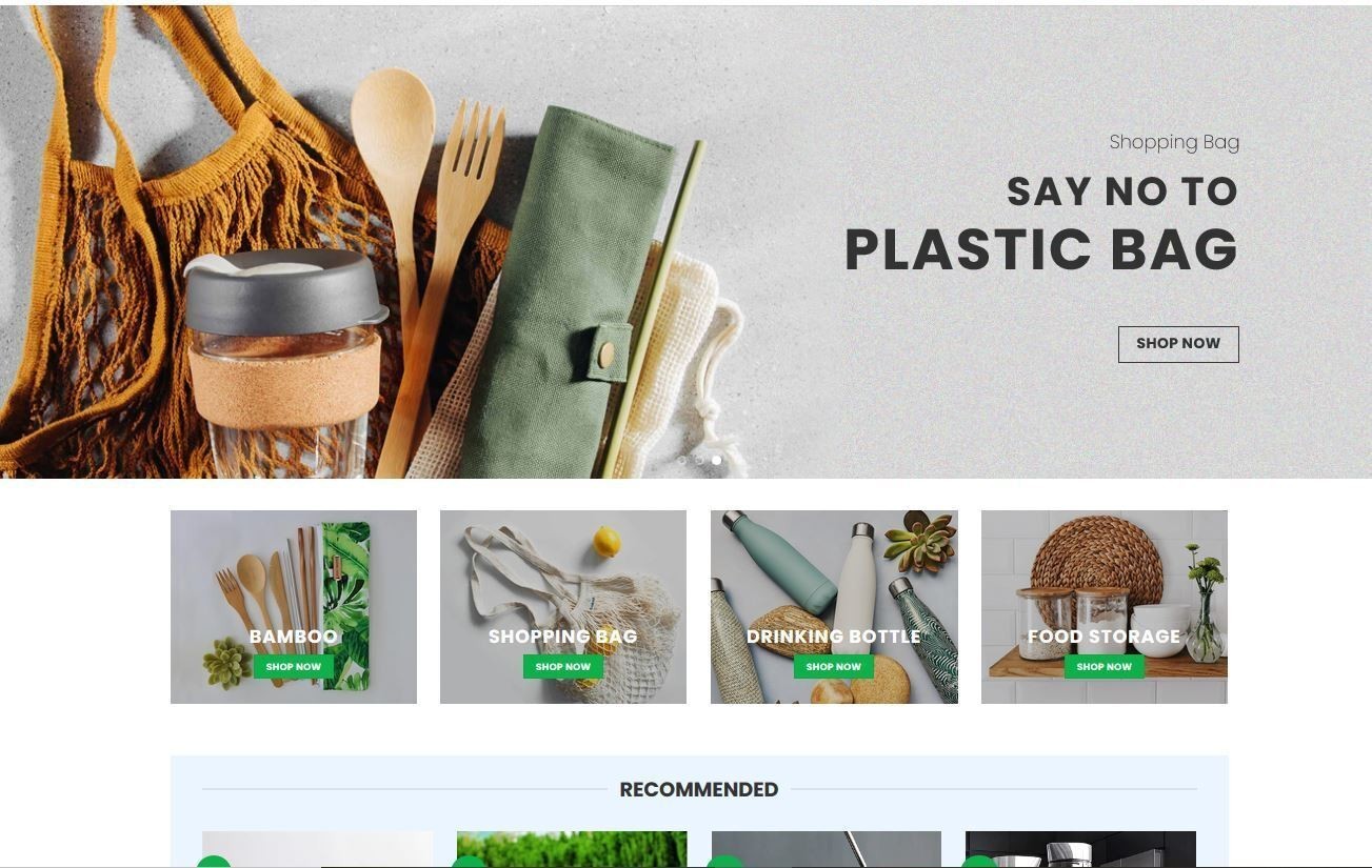 Professional Custom Website Design Modern Responsive SEO WordPress Business Site