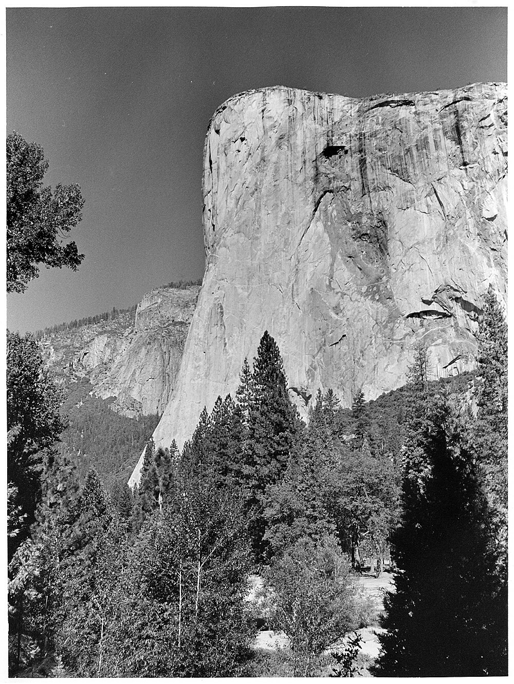 Business Opportunity – Yosemite 35mm Black and White Negatives