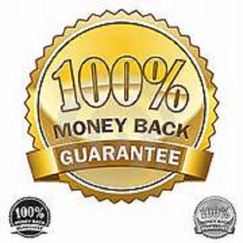 100,000 Real Visitors and SEO Submit Website Web Advertising