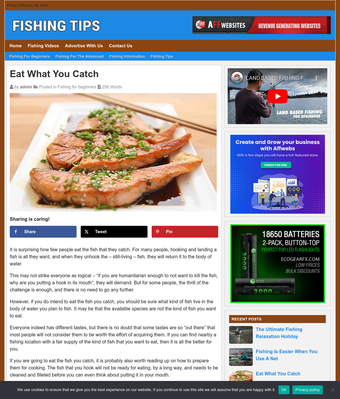 FISHING TIPS Website Business For Sale – Work From Home Internet Business