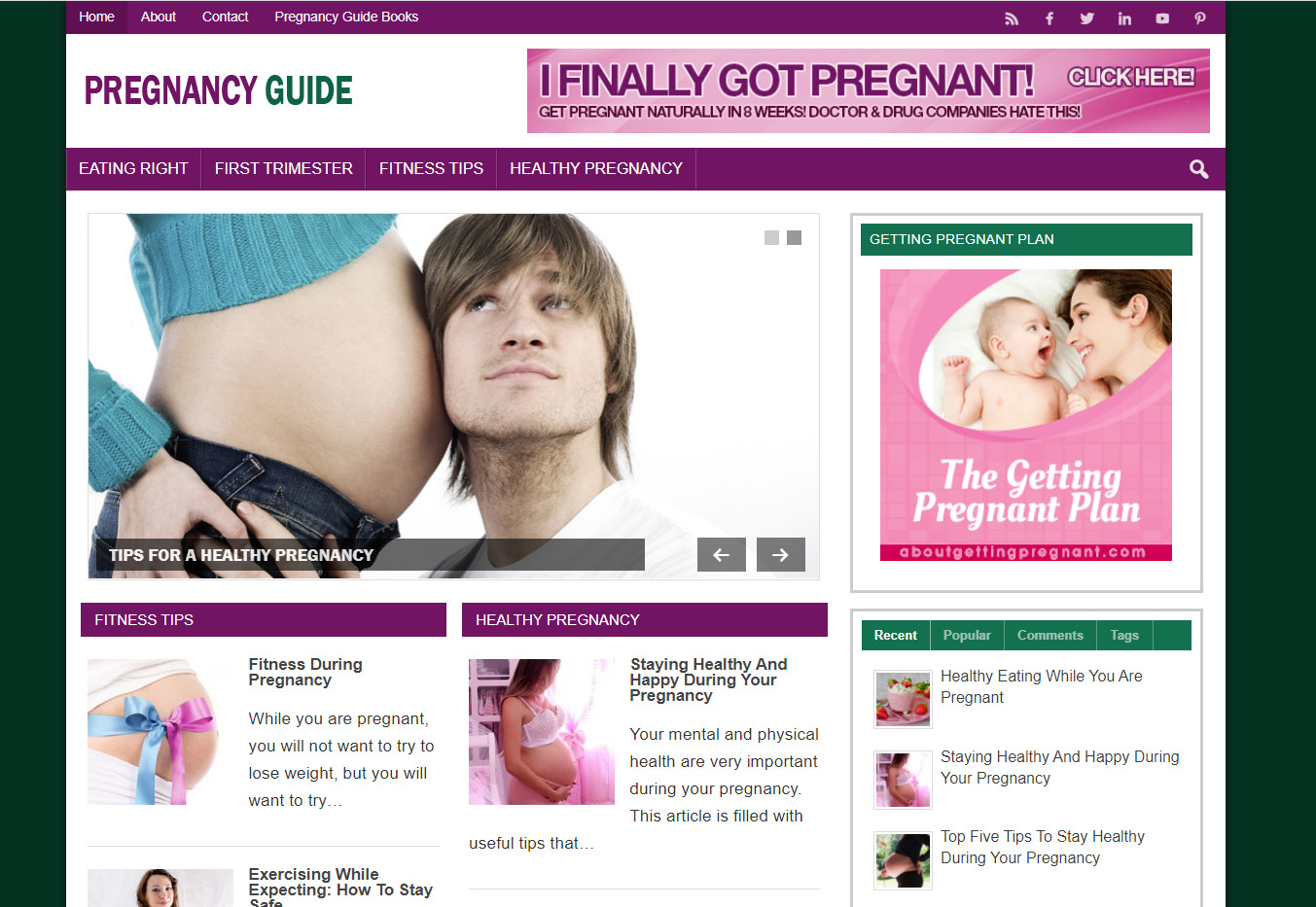 Monetize the Motherhood Market | Established Pregnancy Guide Affiliate Website
