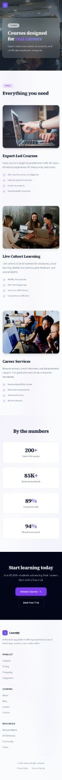 Premium Custom Website Design & Development – SEO Education service Website