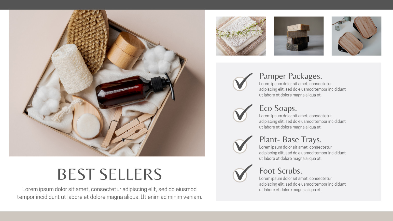 WP Theme-Blog website -Plant-based Products Presentation -Canva Template